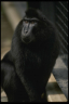 0_981de_6b666099_XL.jpg